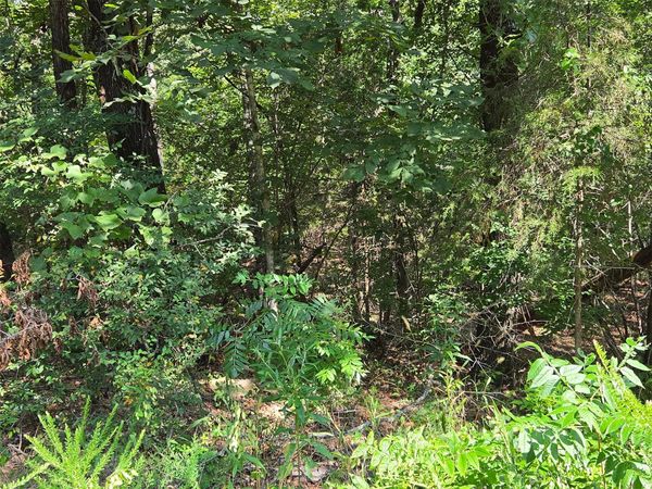W Red Rock, Cookson, OK 74451