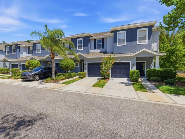 4423 AMBERLY OAKS COURT , TAMPA, FL 33614