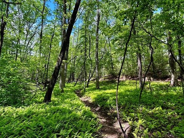 LT 12 Frances Drive, Ellijay, GA 30536