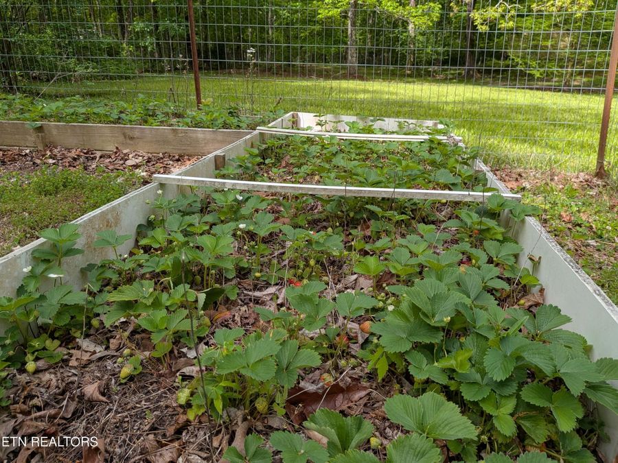 Property Image 49
