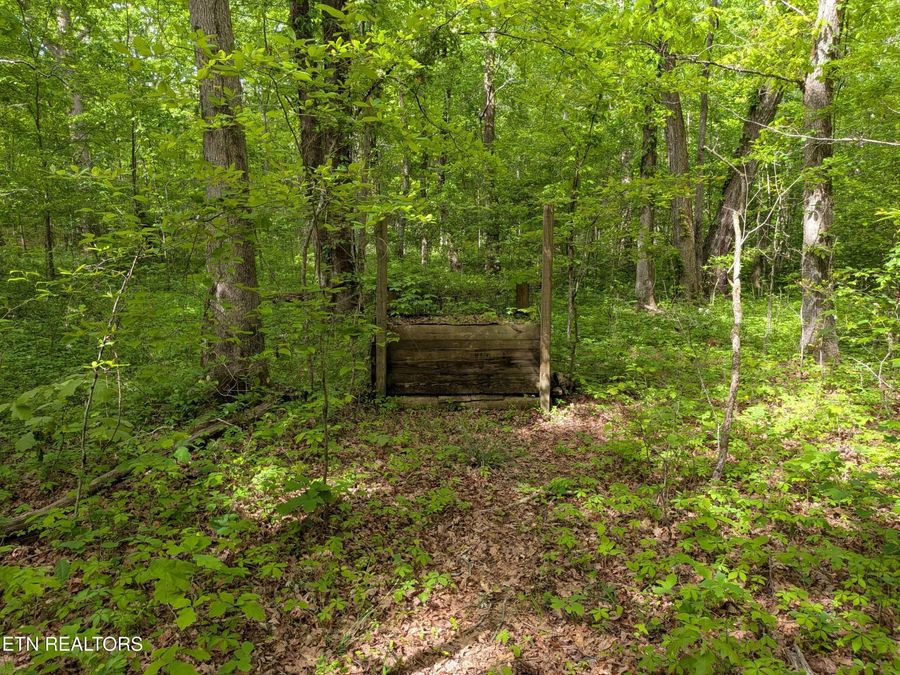 Property Image 58