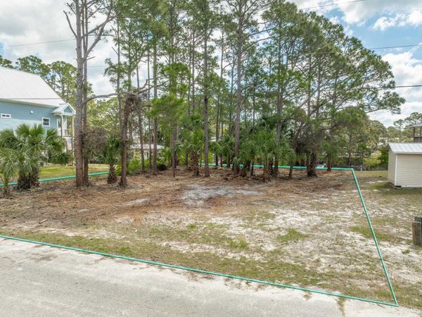 15 Carousel Terrace, Alligator Point, FL