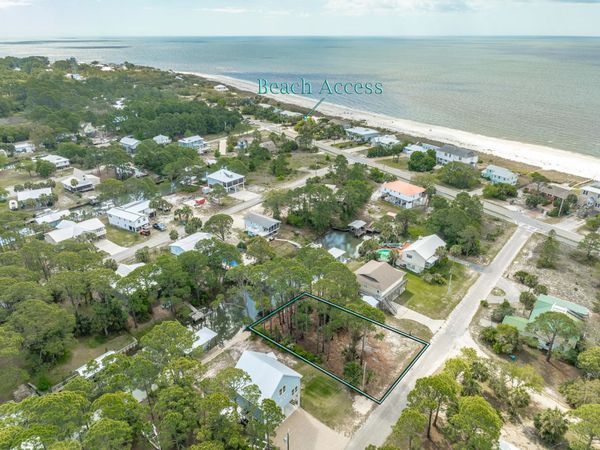 15 Carousel Terrace , Alligator Point, FL