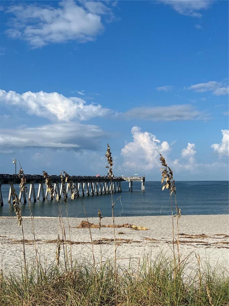 12347 Durango Avenue , North Port, FL 34287 Photo