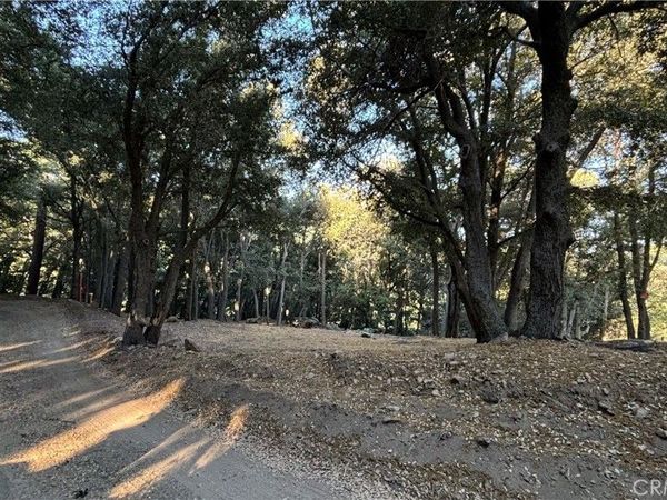 722 Mojave River Road, Cedarpines Park, CA 92322