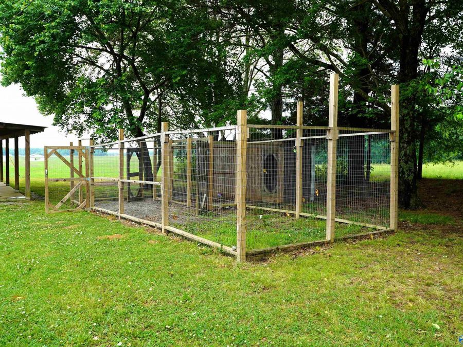 Property Image 44
