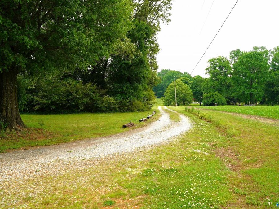 Property Image 46