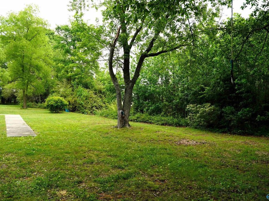 Property Image 49