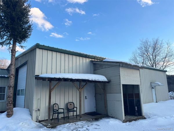 438 Debruce Road, Livingston Manor, NY 12758