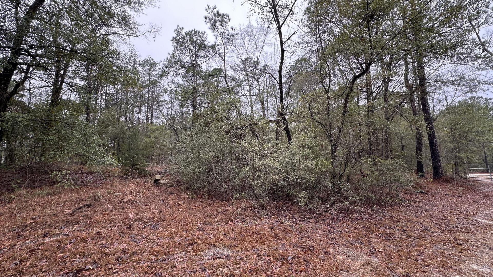 0 Ethridge Drive Photo 19