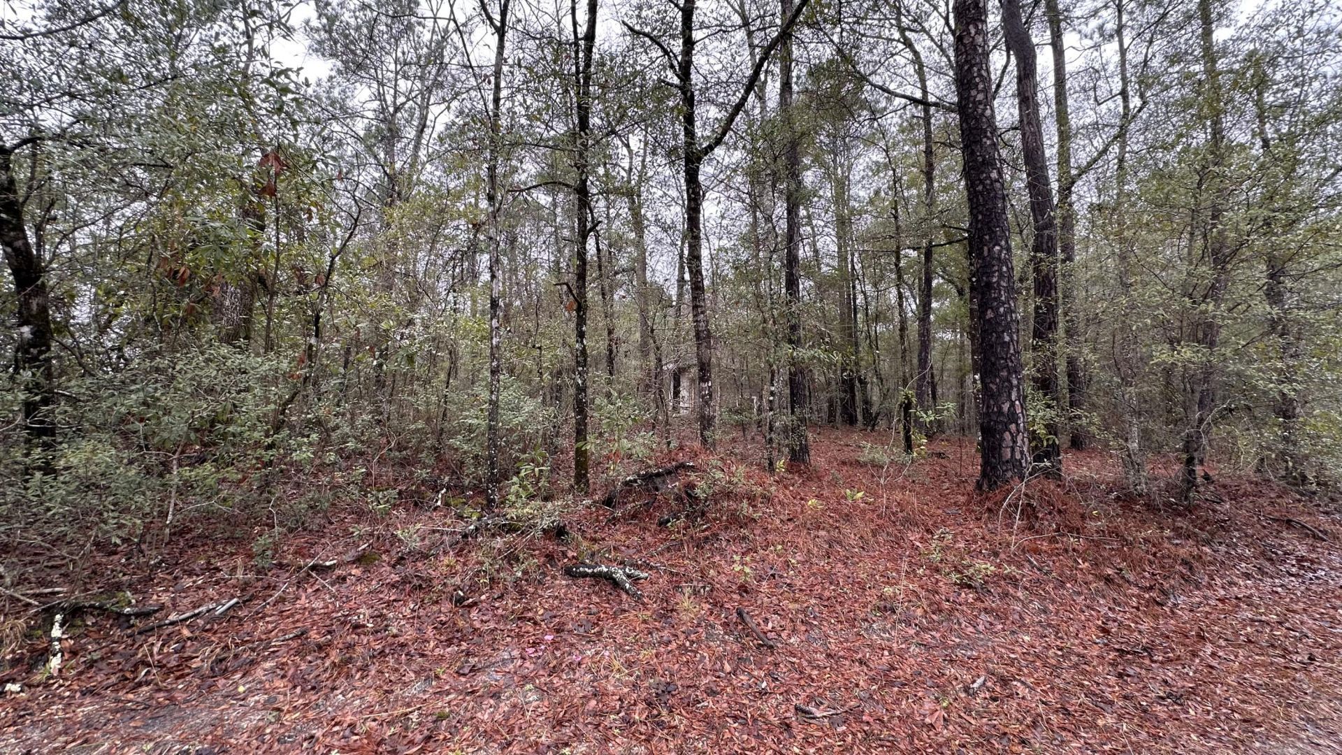 0 Ethridge Drive Photo 20