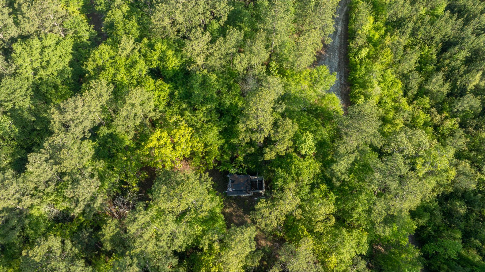0 Ethridge Drive Photo 29
