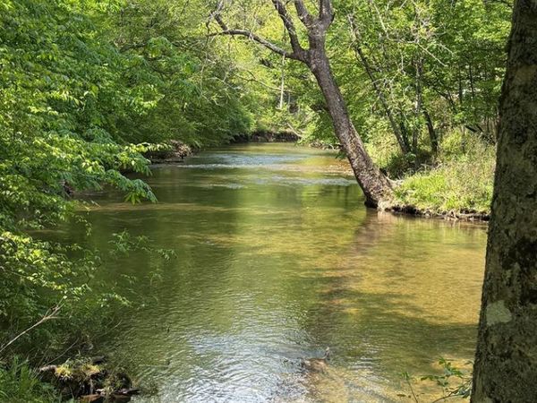 9.8 AC Brown Mountain, Suches, GA 30513