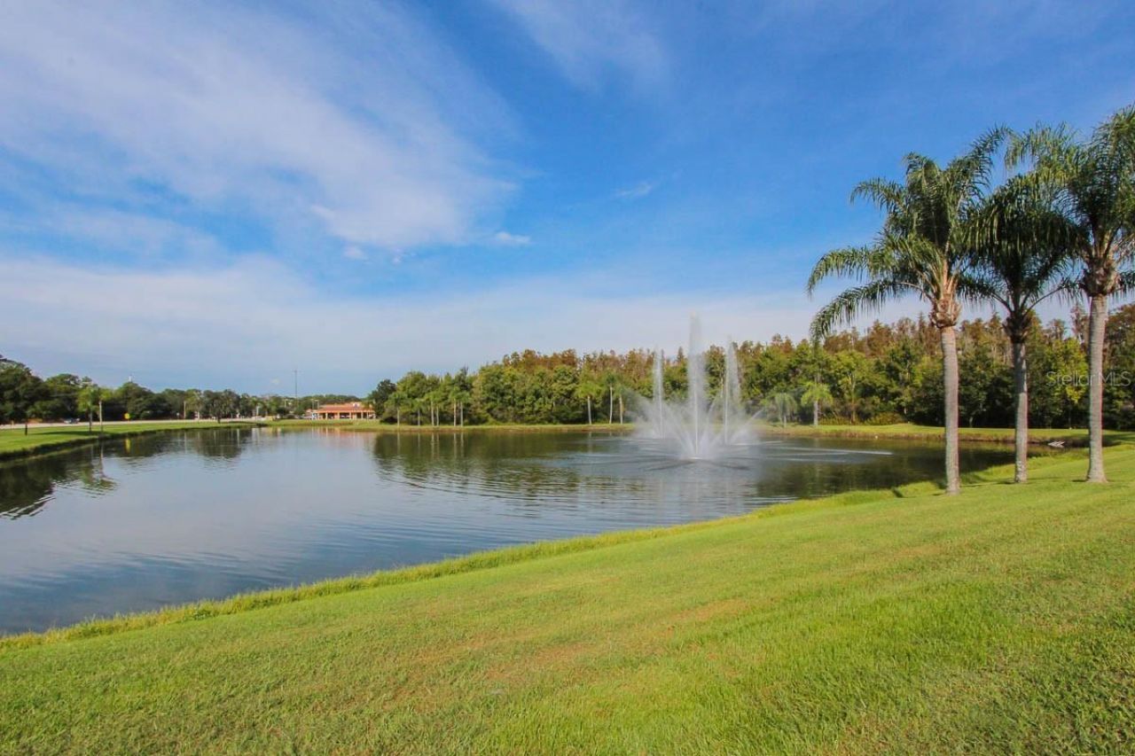 5656 Rockfield Loop , Valrico, FL 33596 Photo
