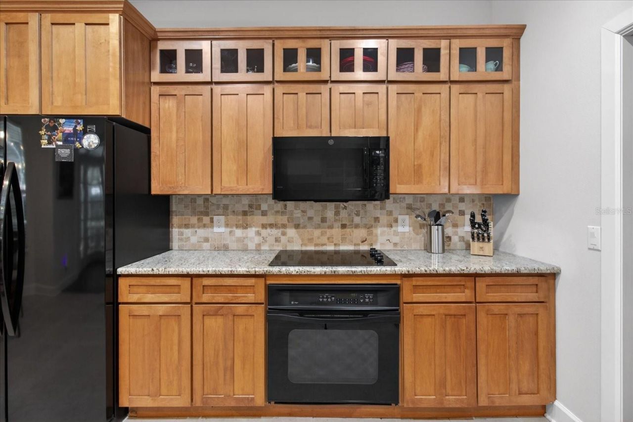 2928 Chelsea Woods Drive, Valrico, FL 33596 Photo