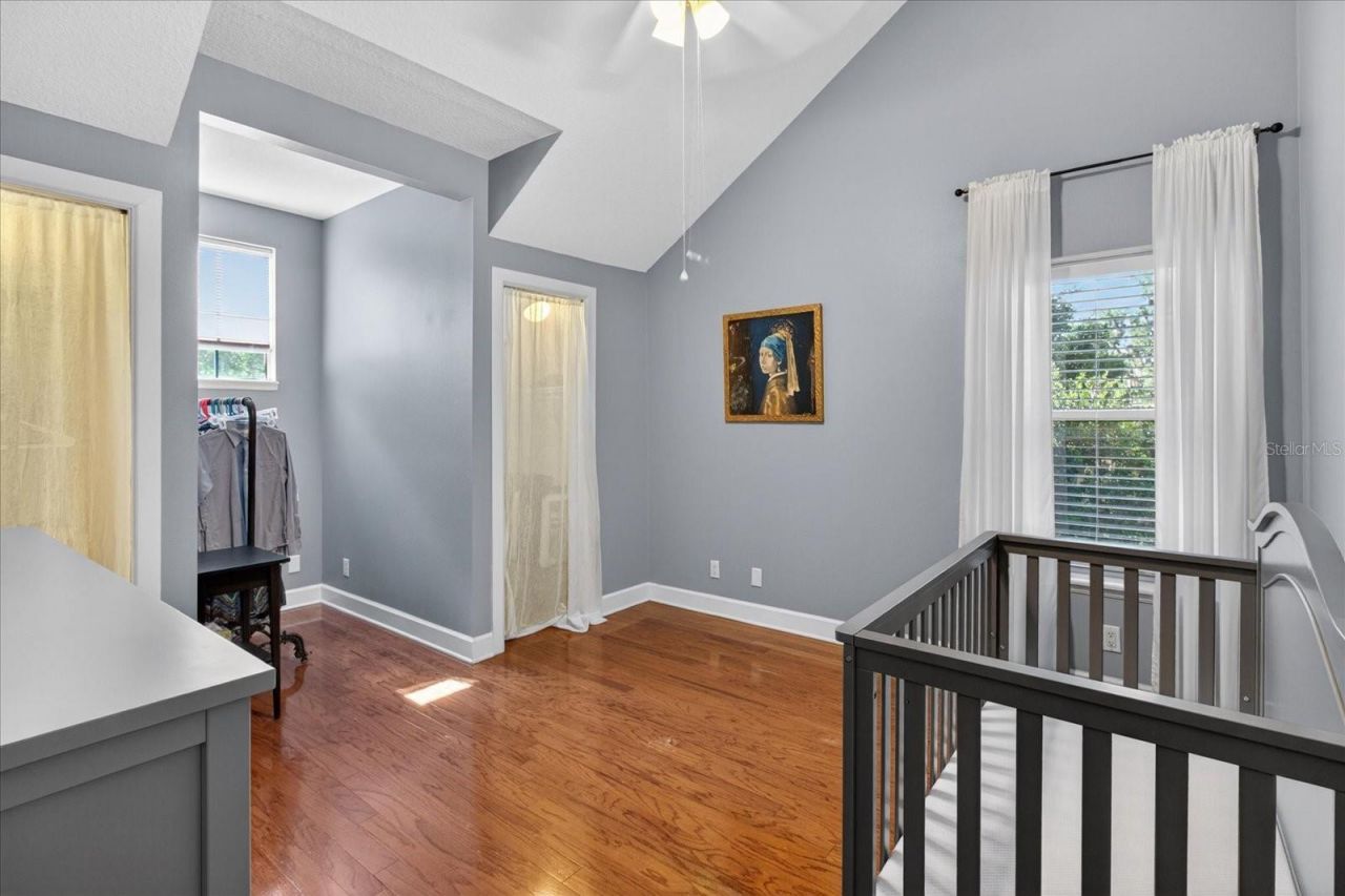 2928 Chelsea Woods Drive, Valrico, FL 33596 Photo