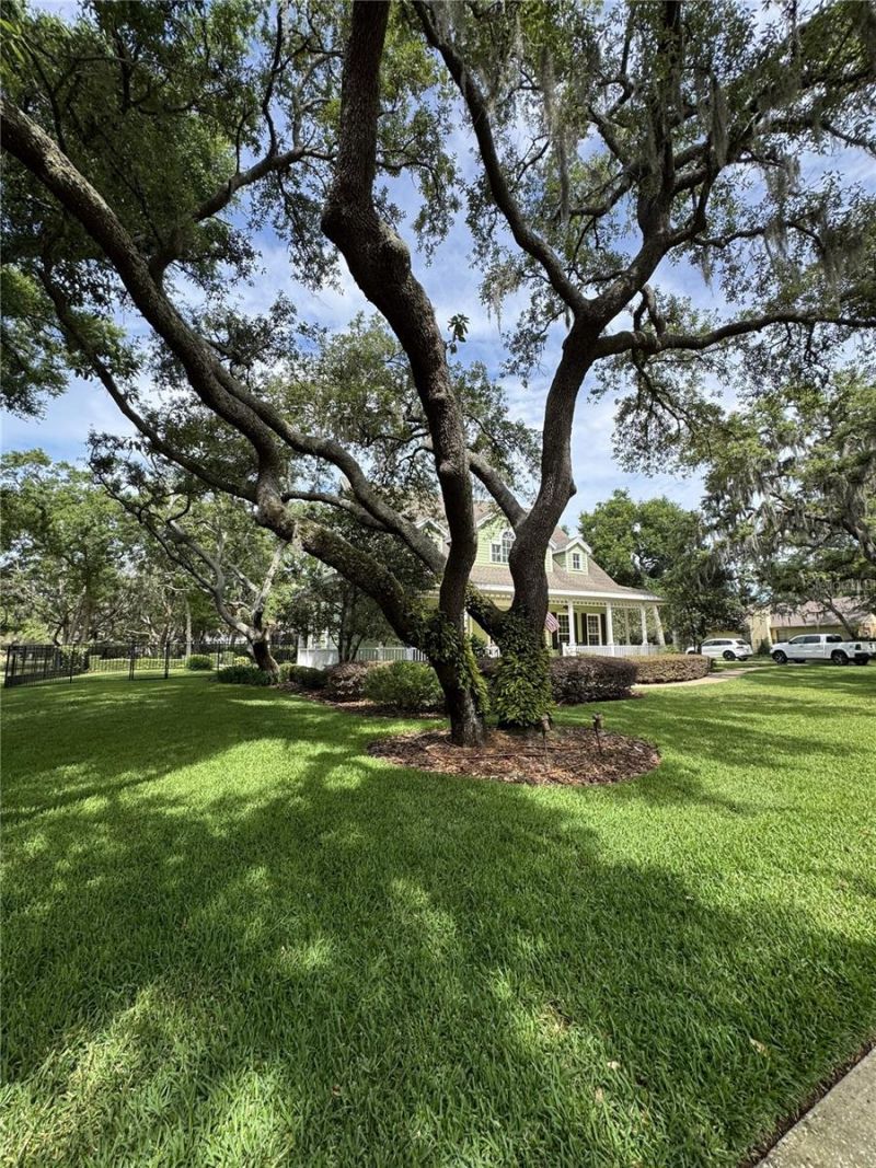 2928 Chelsea Woods Drive, Valrico, FL 33596 Photo