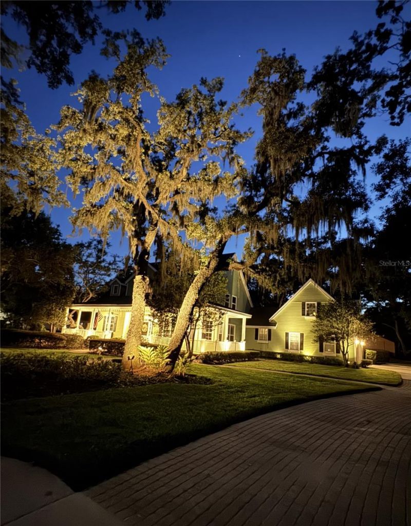 2928 Chelsea Woods Drive, Valrico, FL 33596 Photo