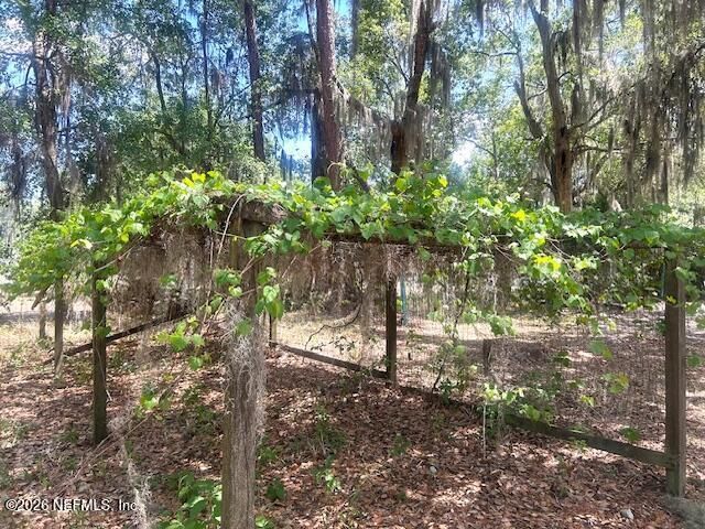 8149 SW 155th Terrace, Starke, FL 32091 Photo