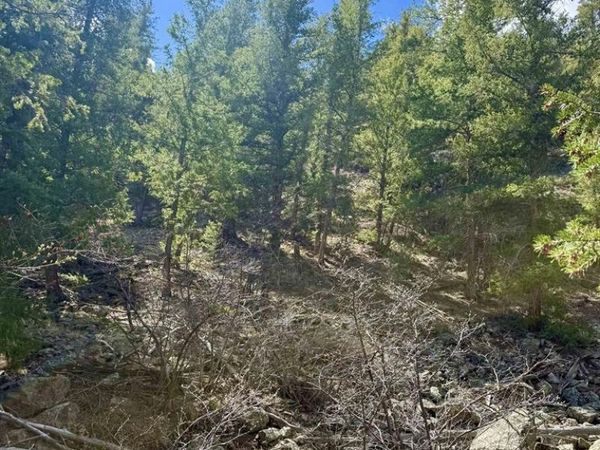 tdb Lochleven Lane, Almont, CO 81210