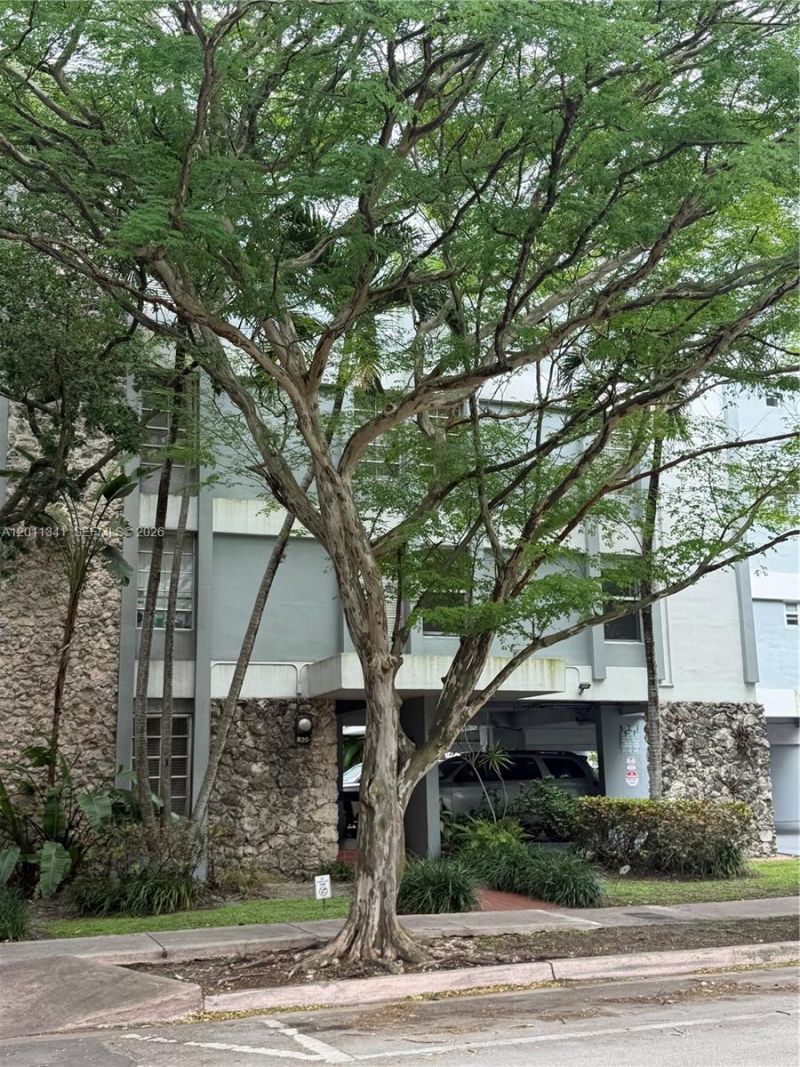820 Salzedo St, Unit 202, Coral Gables, FL 33134 Photo