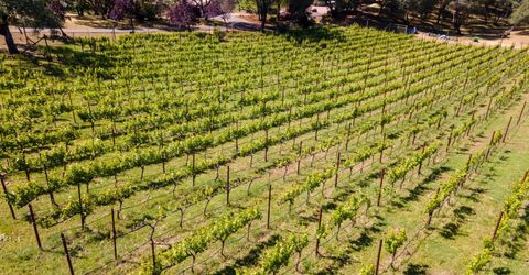 5080 Gold Hill Rd, Placerville, CA 95667 Photo
