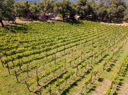 5080 Gold Hill Rd, Placerville, CA 95667 Photo