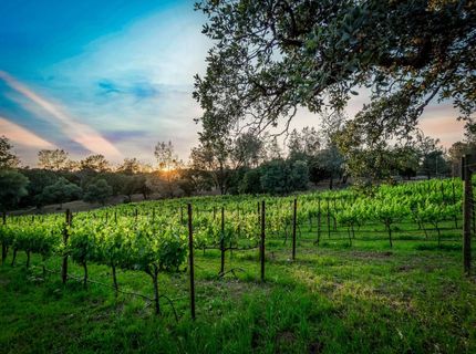 5080 Gold Hill Rd, Placerville, CA 95667 Photo