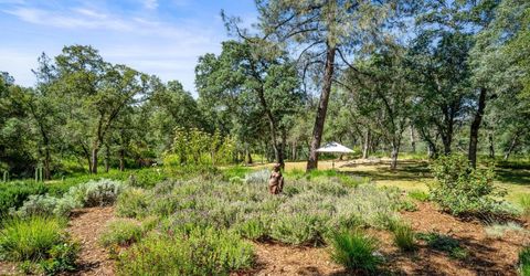 5080 Gold Hill Rd, Placerville, CA 95667 Photo