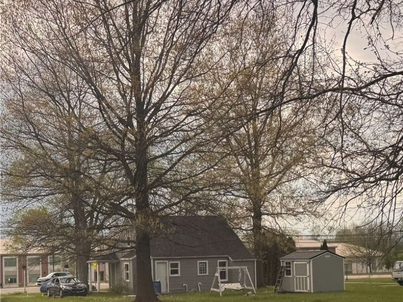 1205 Shannon Road , Girard, OH 44420 Photo 26