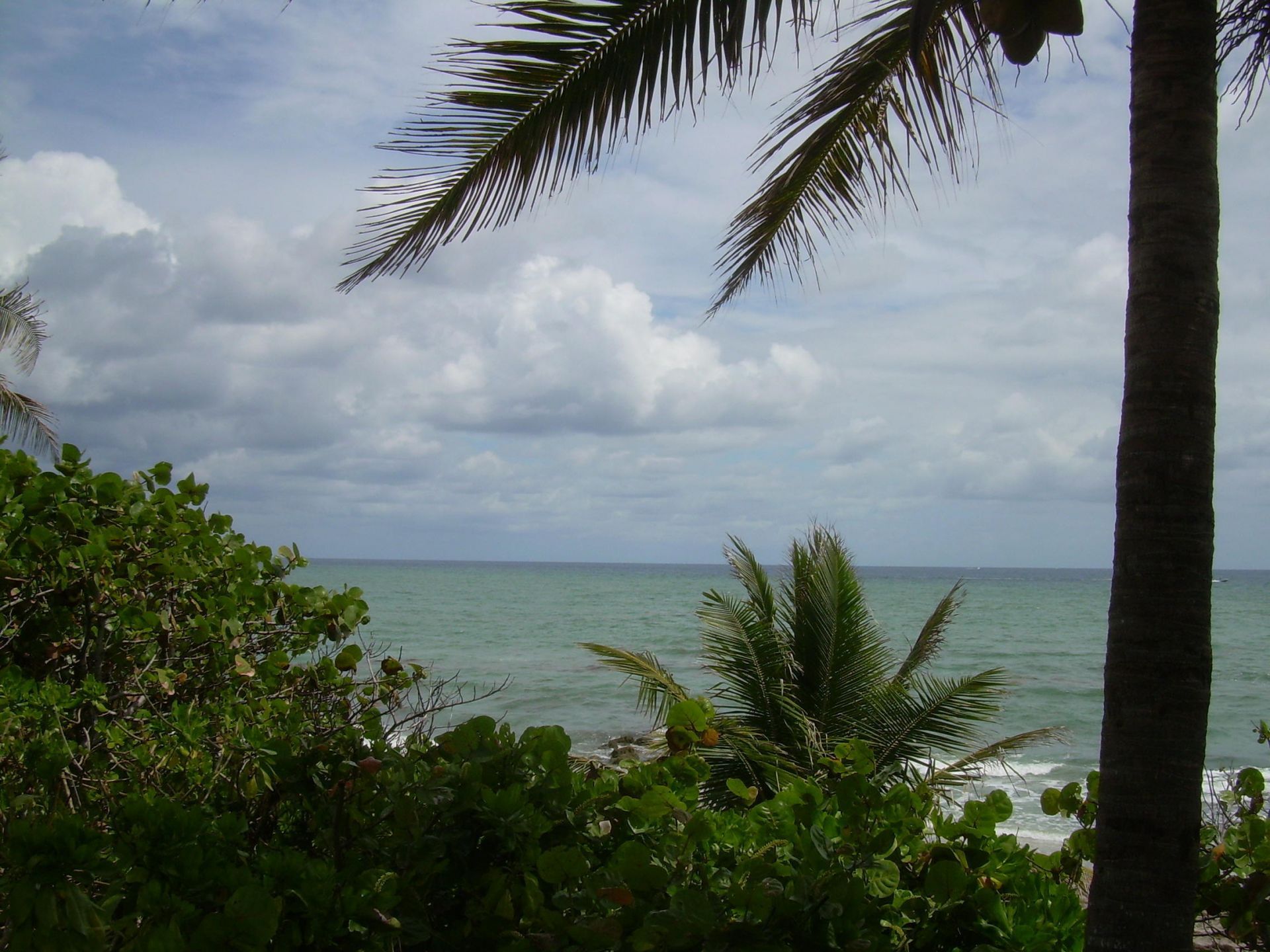 1000 Spanish River Road, Unit 3b, Boca Raton, FL 33432 Photo