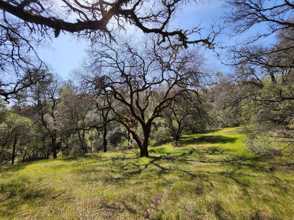 15255 Devon Ct, Auburn, CA 95603