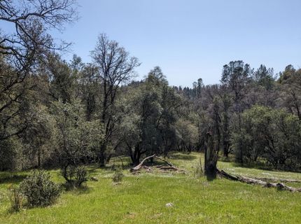 15255 Devon Ct, Auburn, CA 95603 Photo