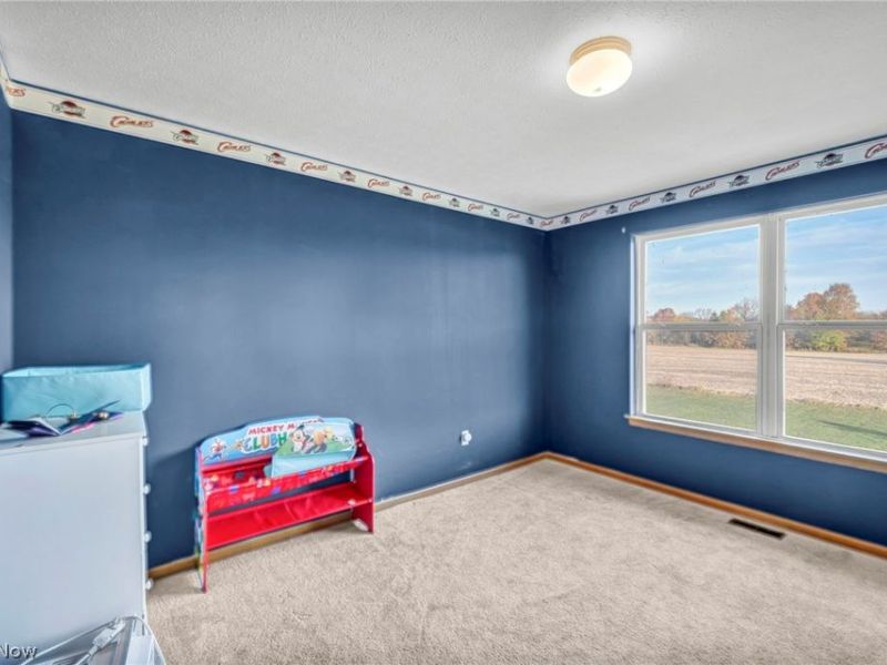 13277 Bursley Road, Spencer, OH 44275 Photo 29