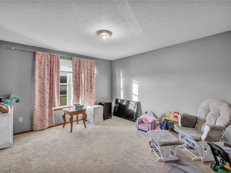 13277 Bursley Road, Spencer, OH 44275 Photo 32
