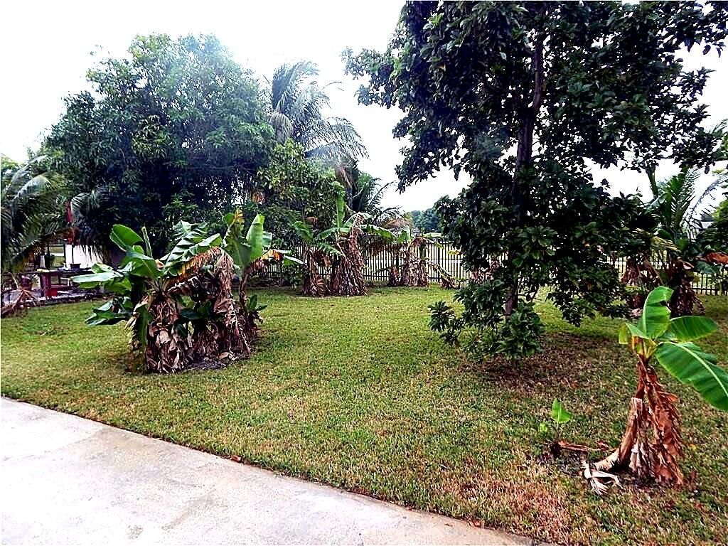 3640 NW 39th Street, Lauderdale Lakes, FL 33309 Photo