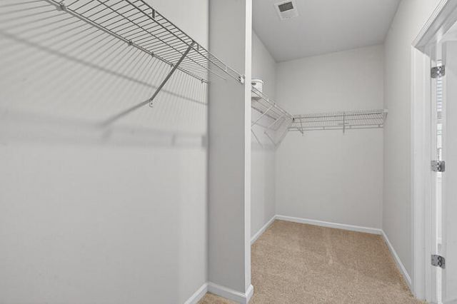436 Ribiero Drive Photo 20
