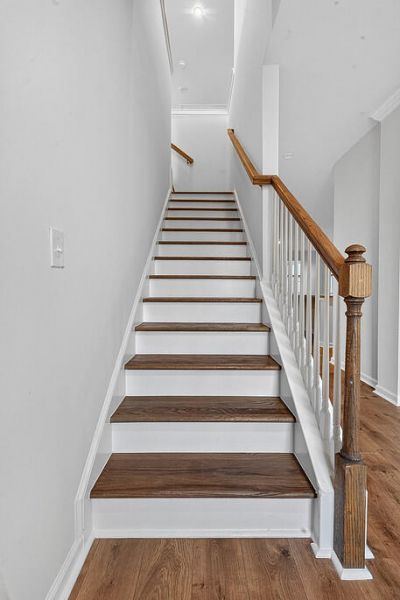 436 Ribiero Drive Photo 22