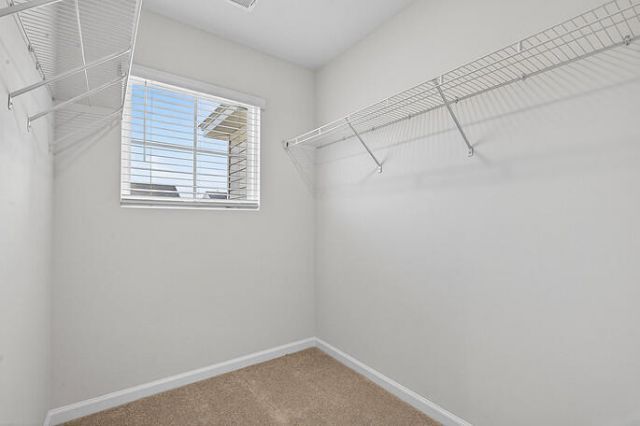 436 Ribiero Drive Photo 38