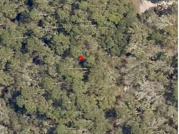 0000 NE 153 Street, Fort McCoy, FL 32134