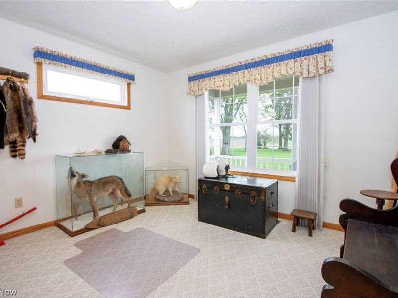 17361 Back Massillon Road, North Lawrence, OH 44666 Photo 13