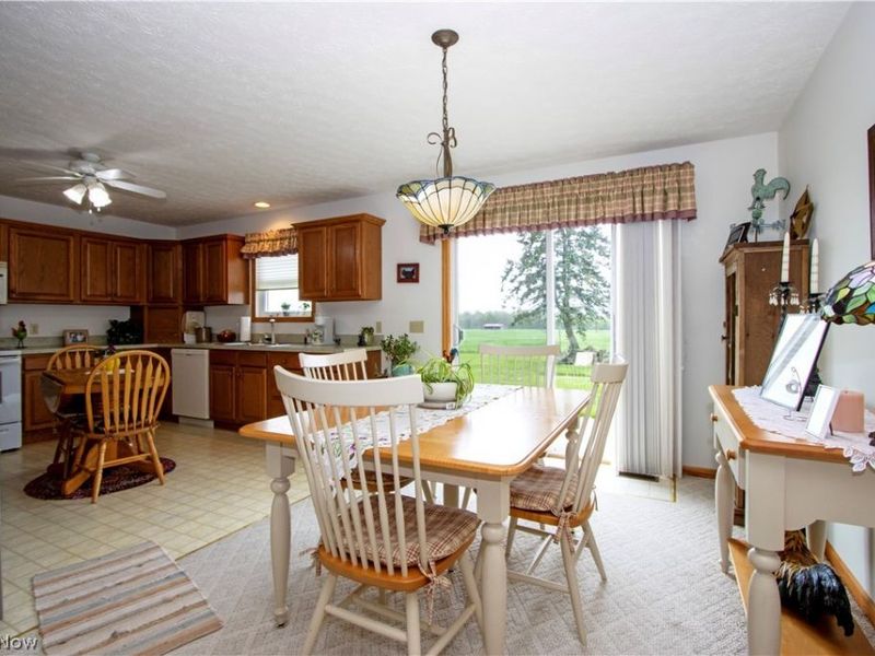 17361 Back Massillon Road, North Lawrence, OH 44666 Photo 19