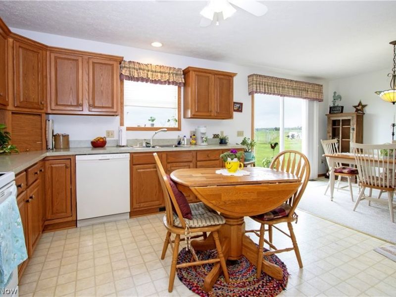 17361 Back Massillon Road, North Lawrence, OH 44666 Photo 22