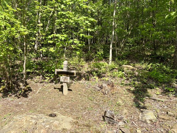 0 RAULSTON FALLS RD , Jasper, TN 37347