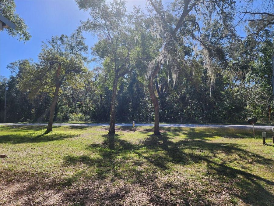 Property Image 64