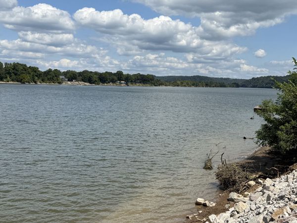 705 River Front Drive , Clifton, TN 38425