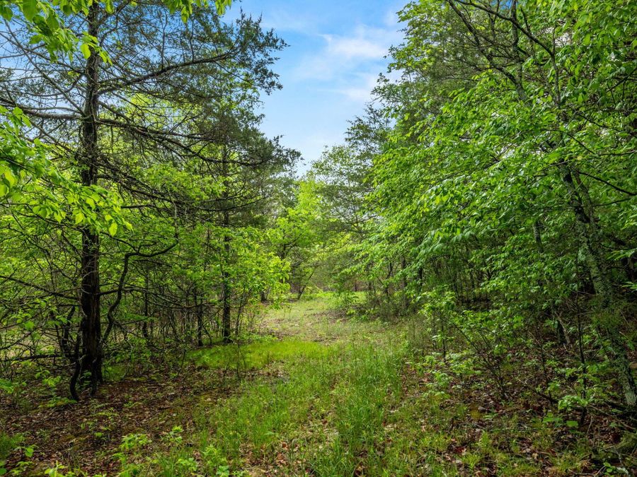 Property Image 107