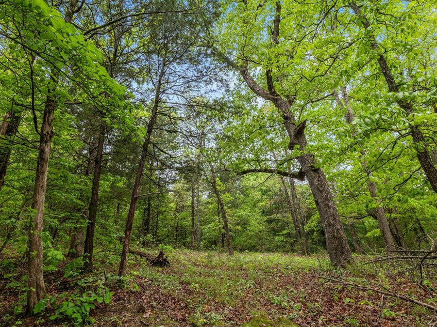 Property Image 109