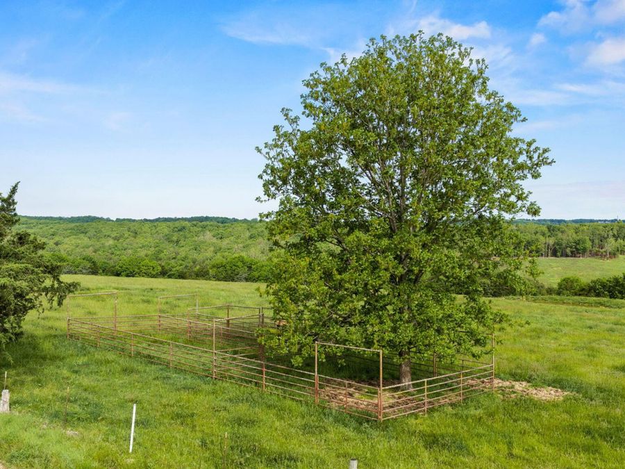 Property Image 97