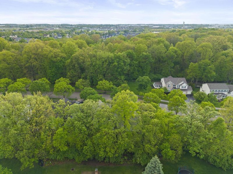 6635 Park Mill Drive, Dublin, OH 43016 Photo 95